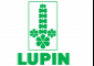 Lupin, Zydus India: Examining the Details